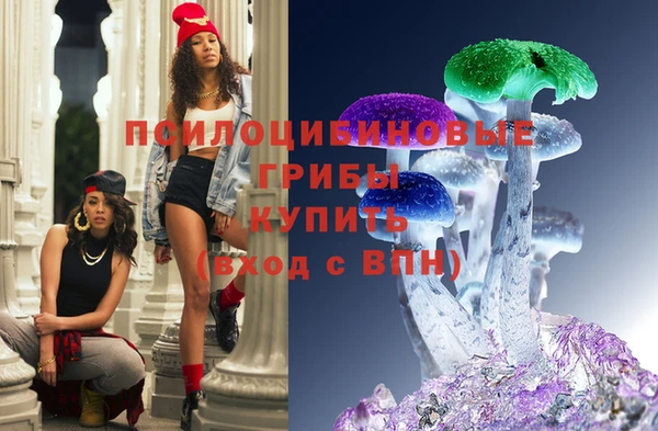 бошки Арсеньев